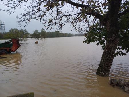 Reka pri mostu v Rečici zgodaj dopoldne